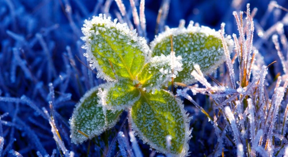 Tetap Bugar Meski Cuaca Dingin: Panduan Hidup Sehat di Musim Dingin
